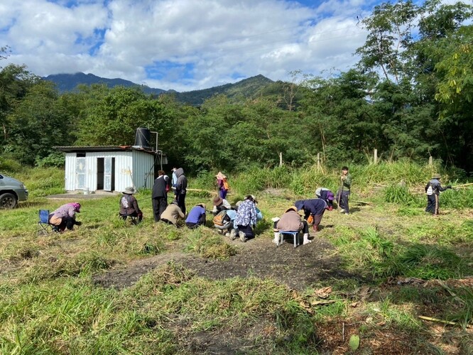 【活動參與】達魯瑪克Taromak山田燒墾 參與心得圖片