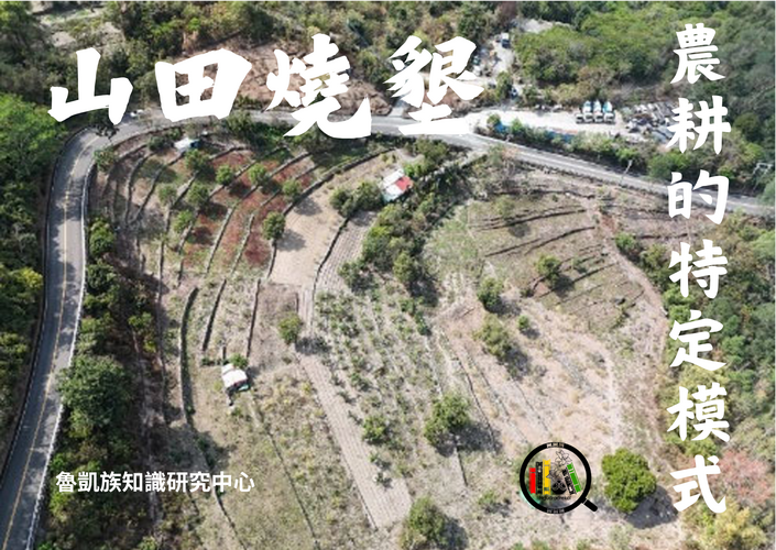 霧臺鄉魯凱族山田燒墾農耕特定模式圖片