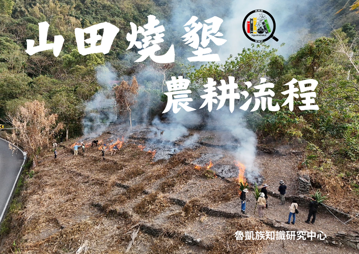 霧臺鄉魯凱族山田燒墾農耕流程圖片