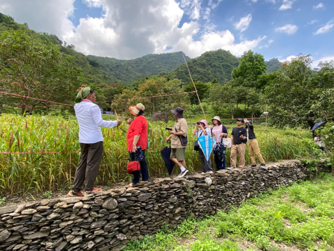 【外部交流】114年度魯凱族知識研究中心外部交流活動圖片