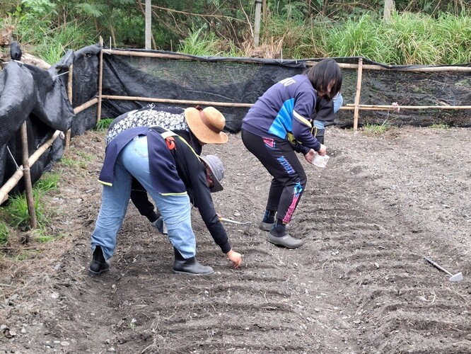 【活動參與】達魯瑪克Taromak打地播種 參與心得圖片