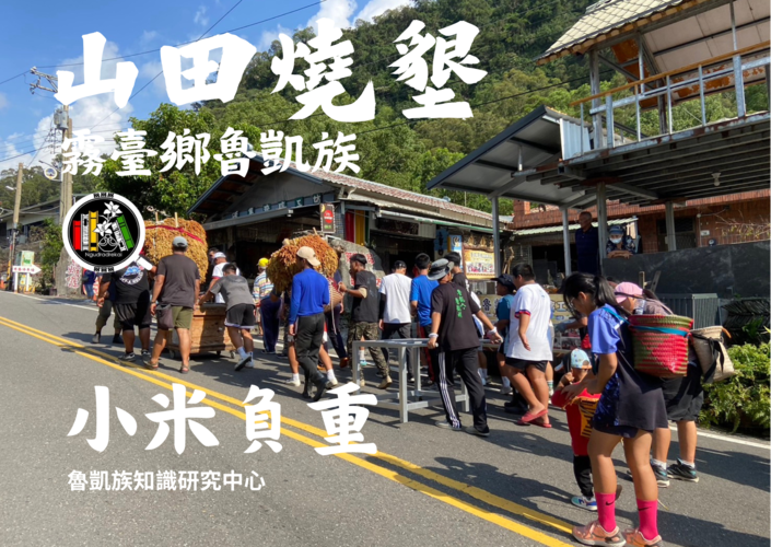 霧臺鄉魯凱族山田燒墾-小米負重圖片