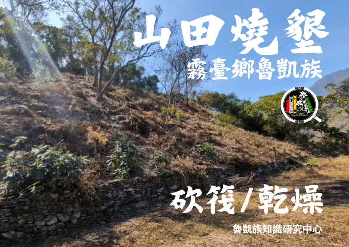霧臺鄉魯凱族山田燒墾-砍筏/乾燥圖片